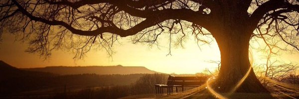 ywolfe Profile Banner