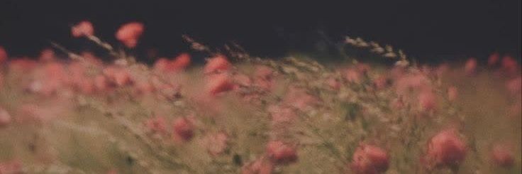 alamdar__128's profile banner image