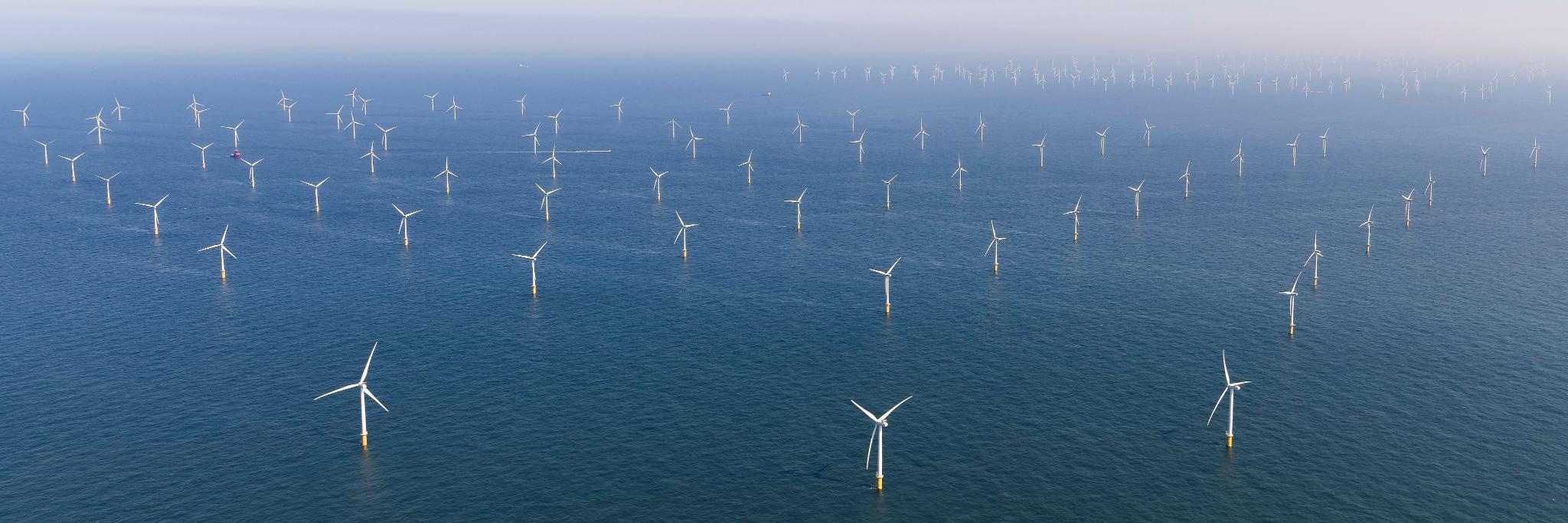 Belgian Offshore Platform banner