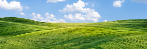 hickory_tom Profile Banner