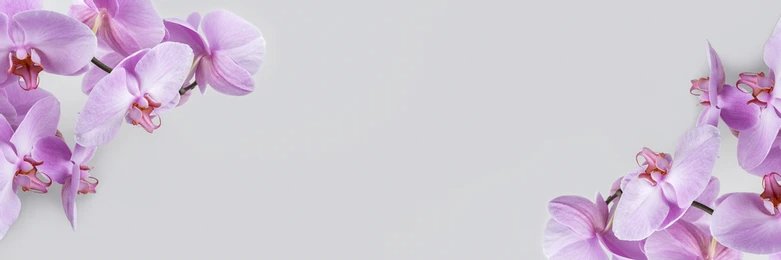 ocadeocade's profile banner image