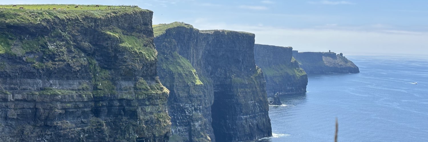 Janene Marasciullo banner