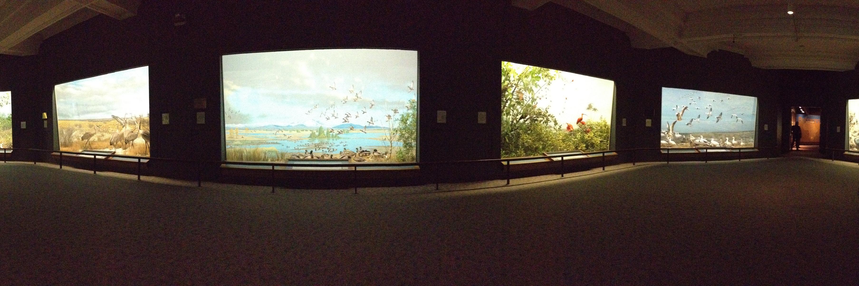 Rachel Reddick 🧠✨🦄 banner