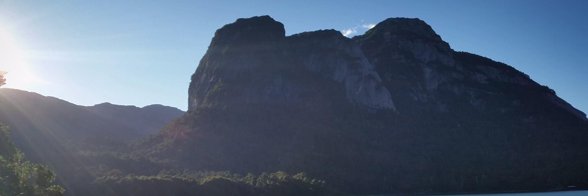 medecicco's profile banner image
