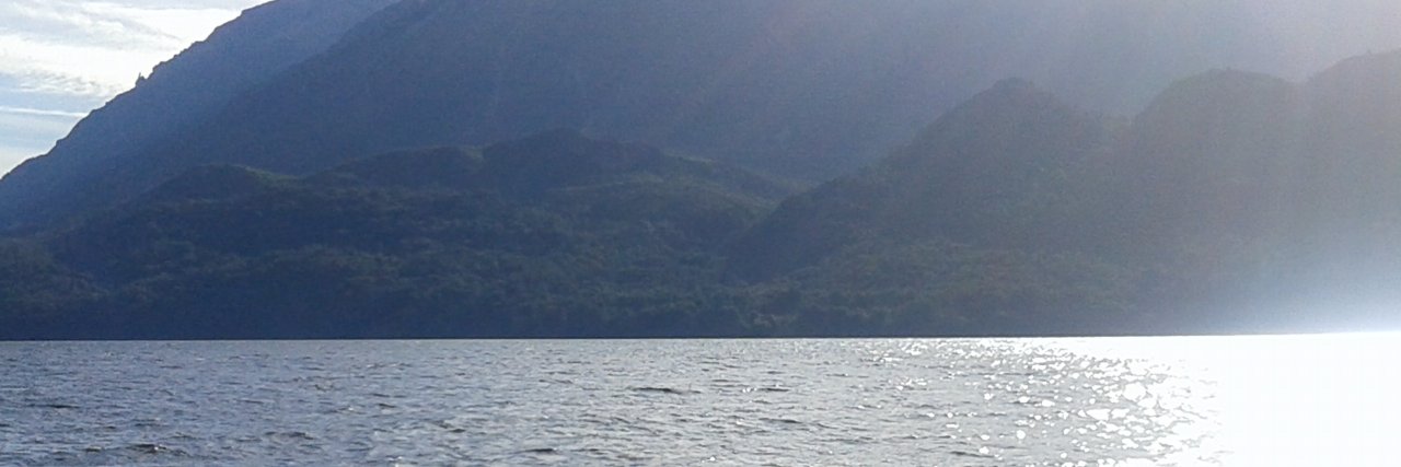 amilcolores's profile banner image