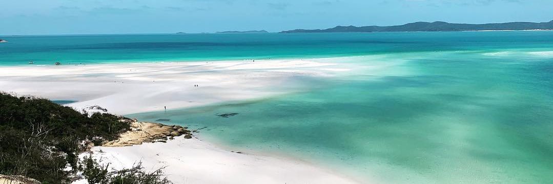 Michael Fowler banner