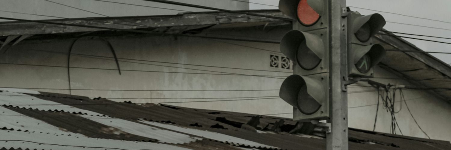 elviruds's profile banner image