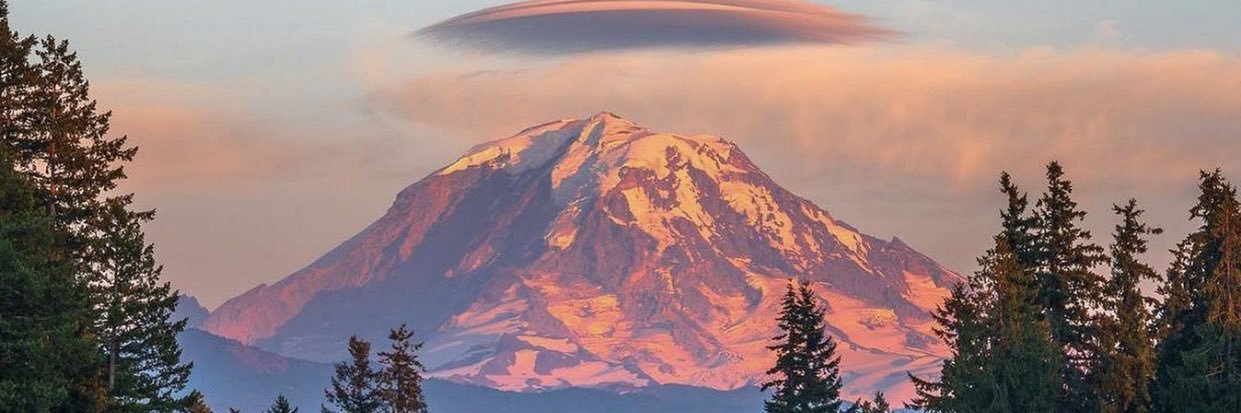 🌍's banner