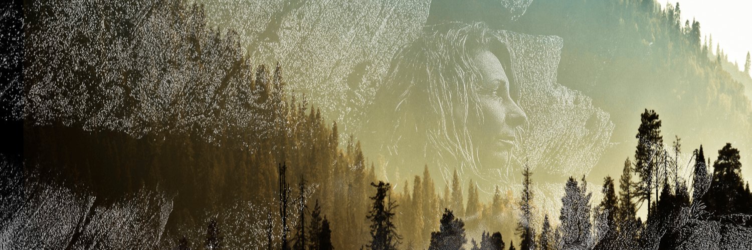 29Anfox's profile banner image