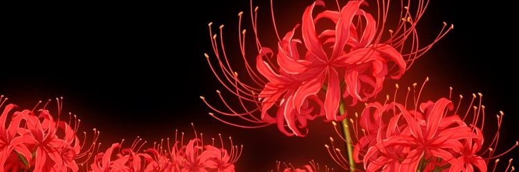 ༻evy༺ banner