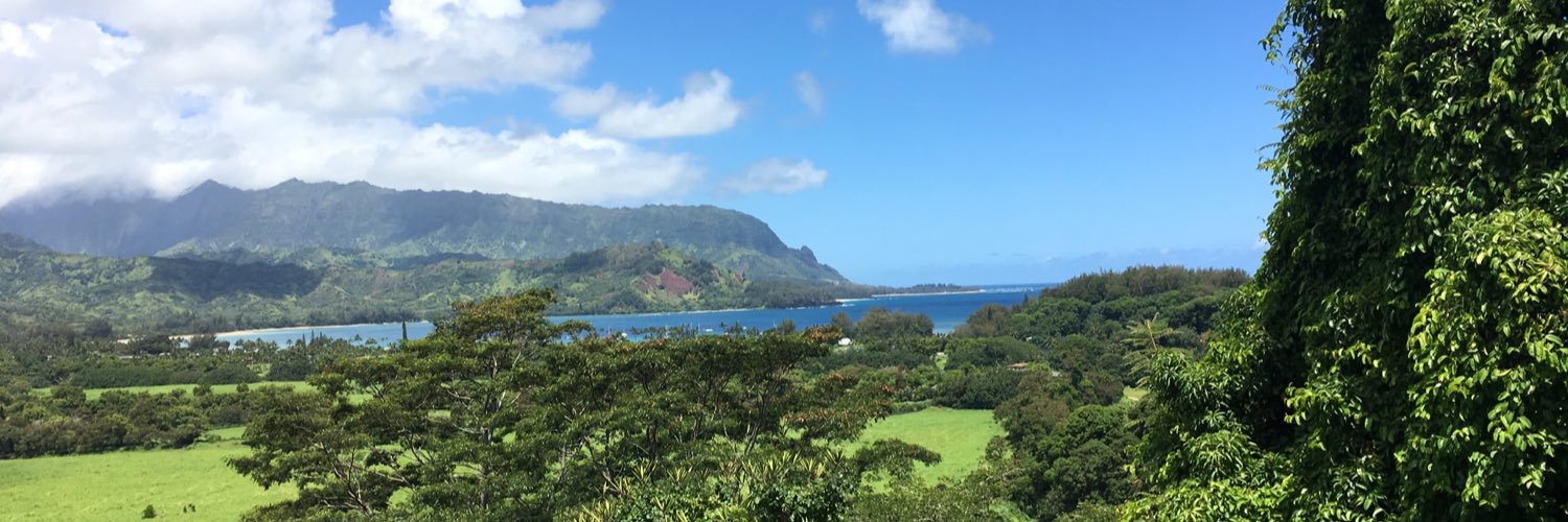 briar_beach's profile banner image