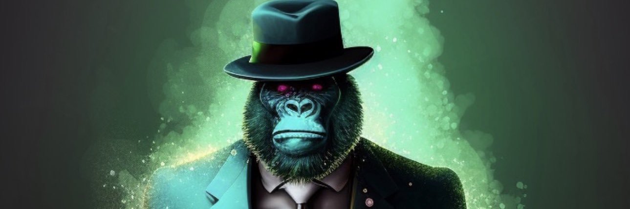kialgr's profile banner image