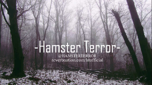 HAMSTERTERROR's profile banner image