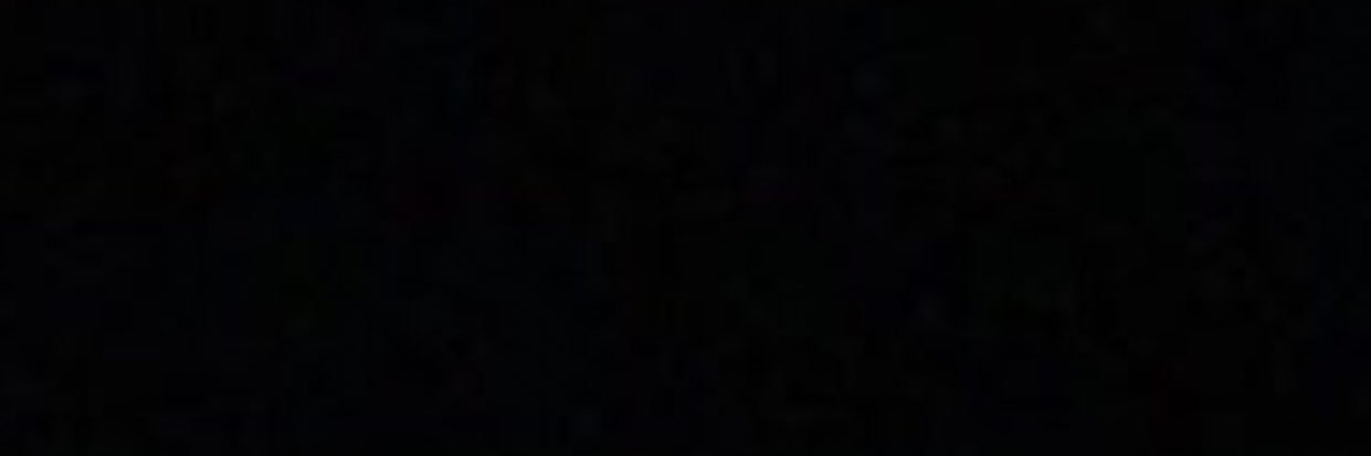 Nunesfree's profile banner image