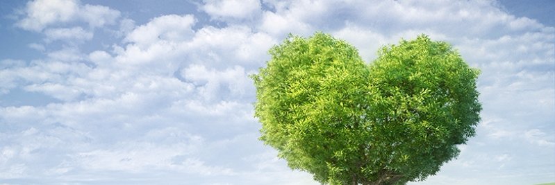 aylinbariskan's profile banner image