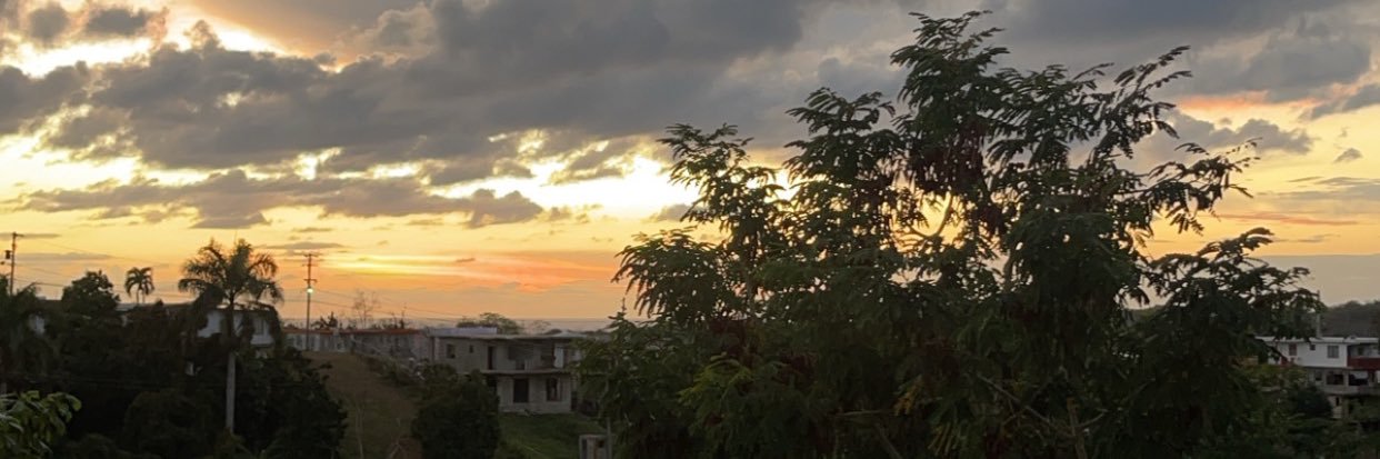 Ralph Carrero banner