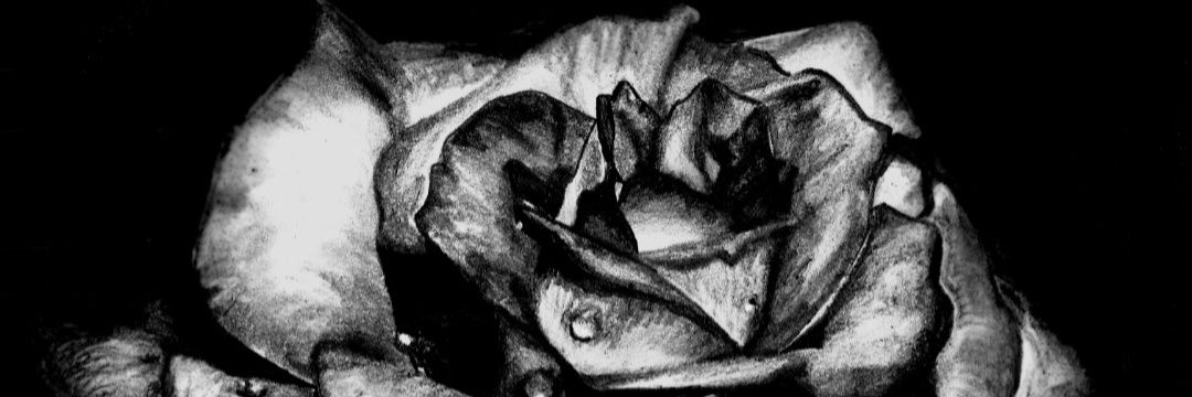 Jay 🖤 banner