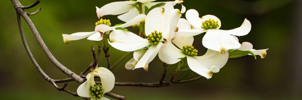 MarilyneStains Profile Banner