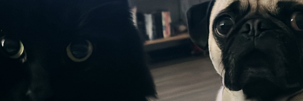 bossjake737's profile banner image