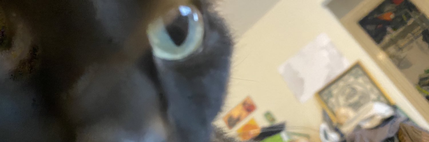 thegreatmagnet's profile banner image