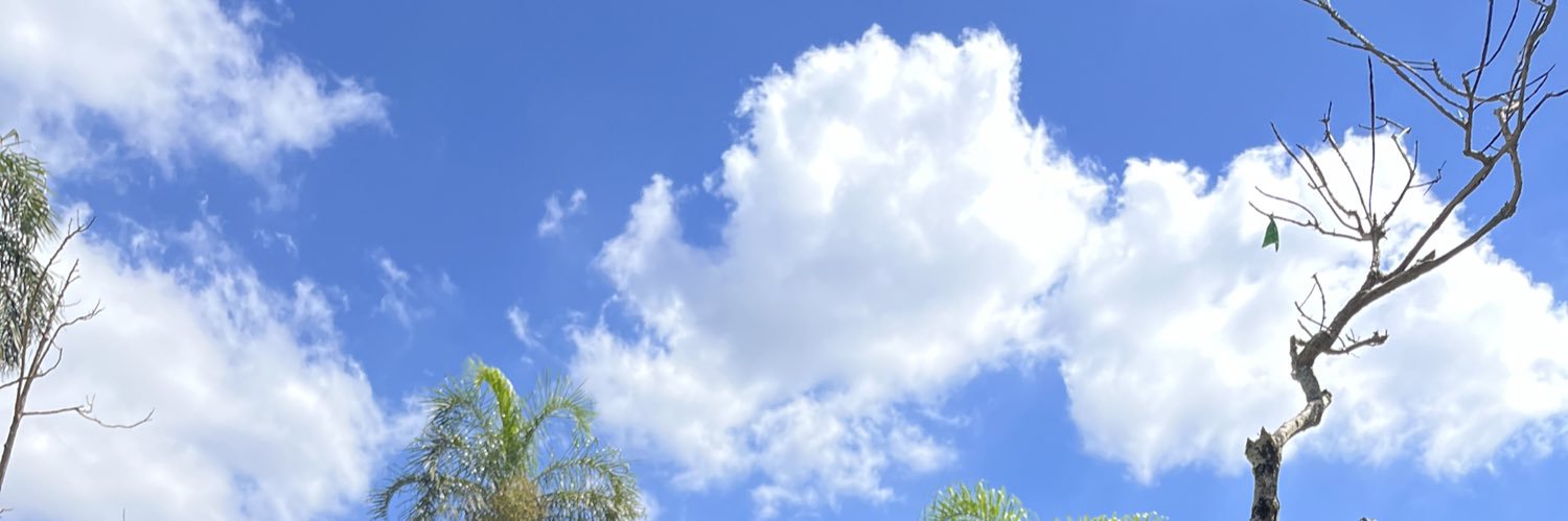 Ativo bundudo banner