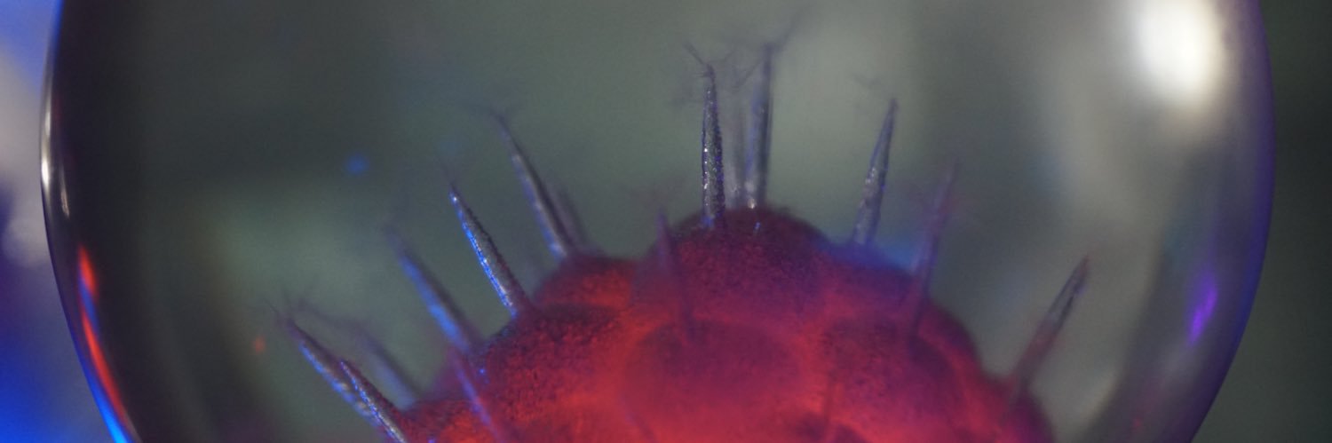 soundlobotomy's profile banner image