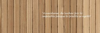 SofiAneley's profile banner image