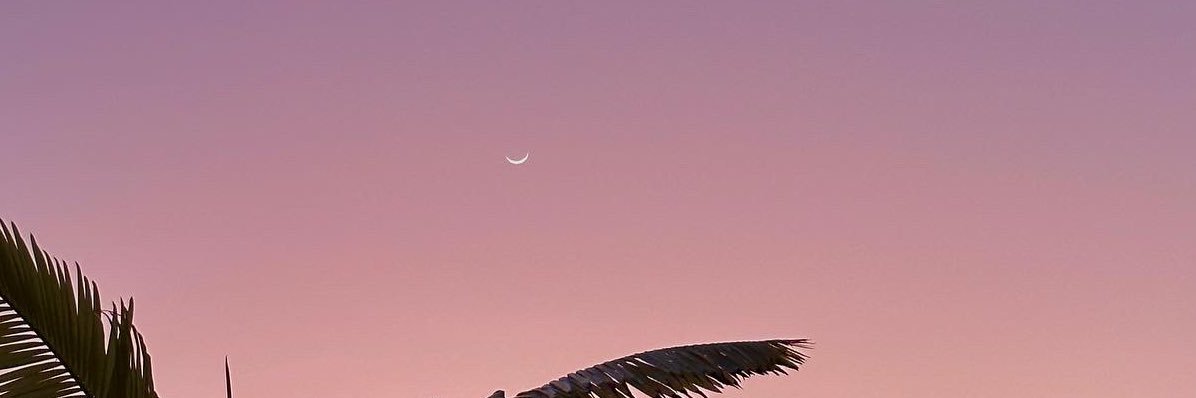 baby dentist banner