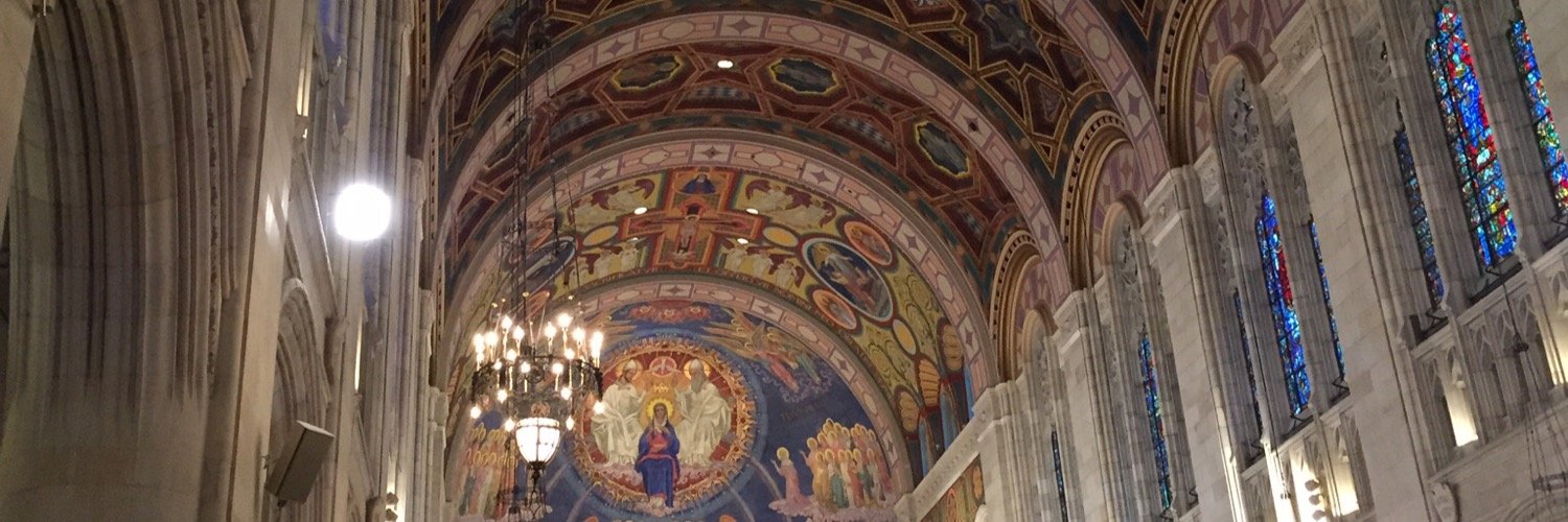 Jennifer Link Lippus banner