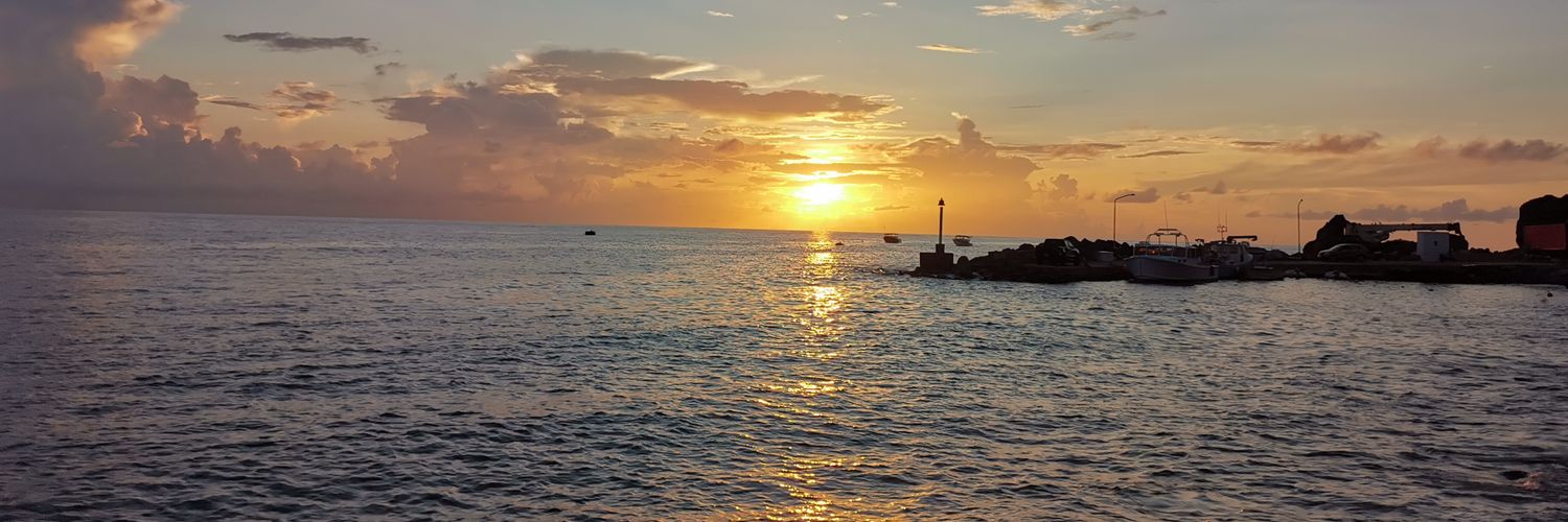 rufa_berty's profile banner image
