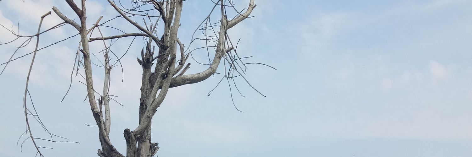 Gunper74's profile banner image