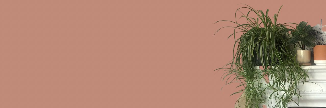 Nicole Dame banner