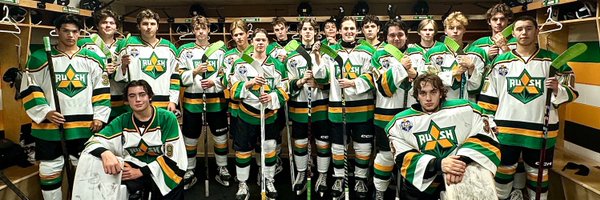 sydmitsuRUSH Profile Banner