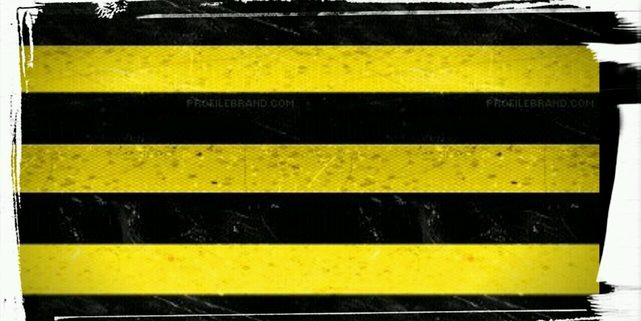 Steven Tuerlings banner