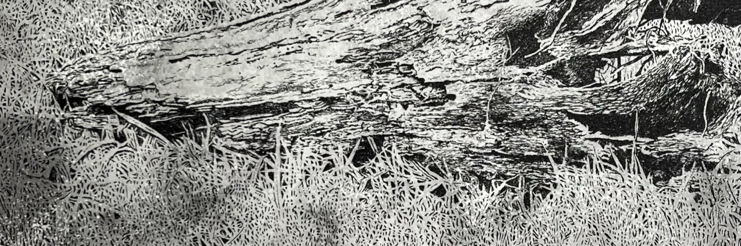 紙町銅版画工房 banner