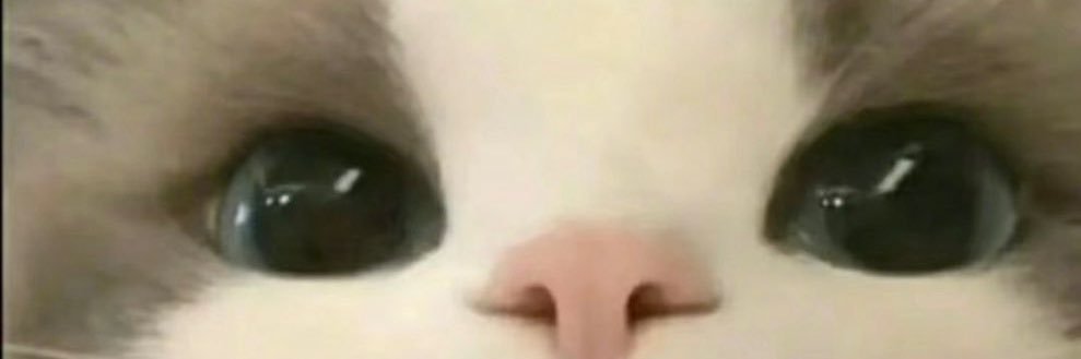 weirdlion24's profile banner image