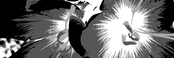 psykeeper 𐁉 banner