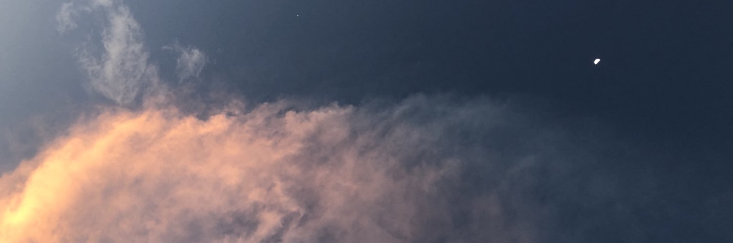 sgt. pepper banner