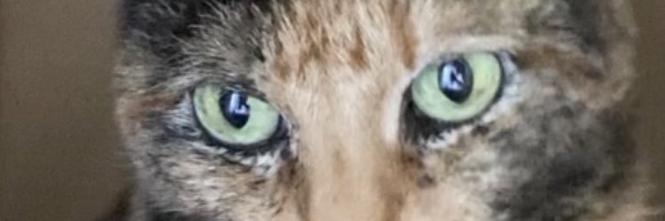 mmich3331's profile banner image