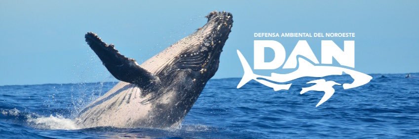 Defensa Ambiental del Noroeste (DAN) banner