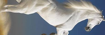 ilhamsandi's profile banner image