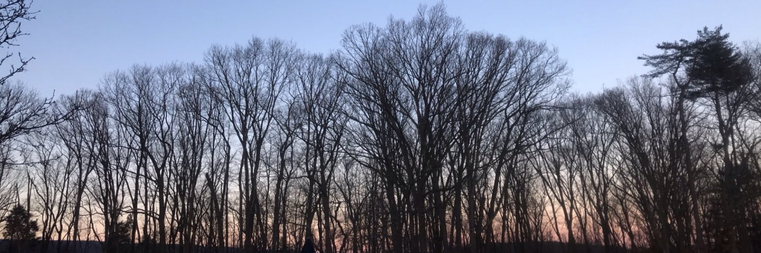abbyfrew's profile banner image
