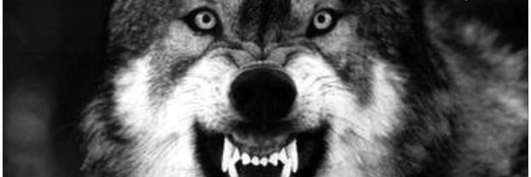 AndiBandit0267's profile banner image