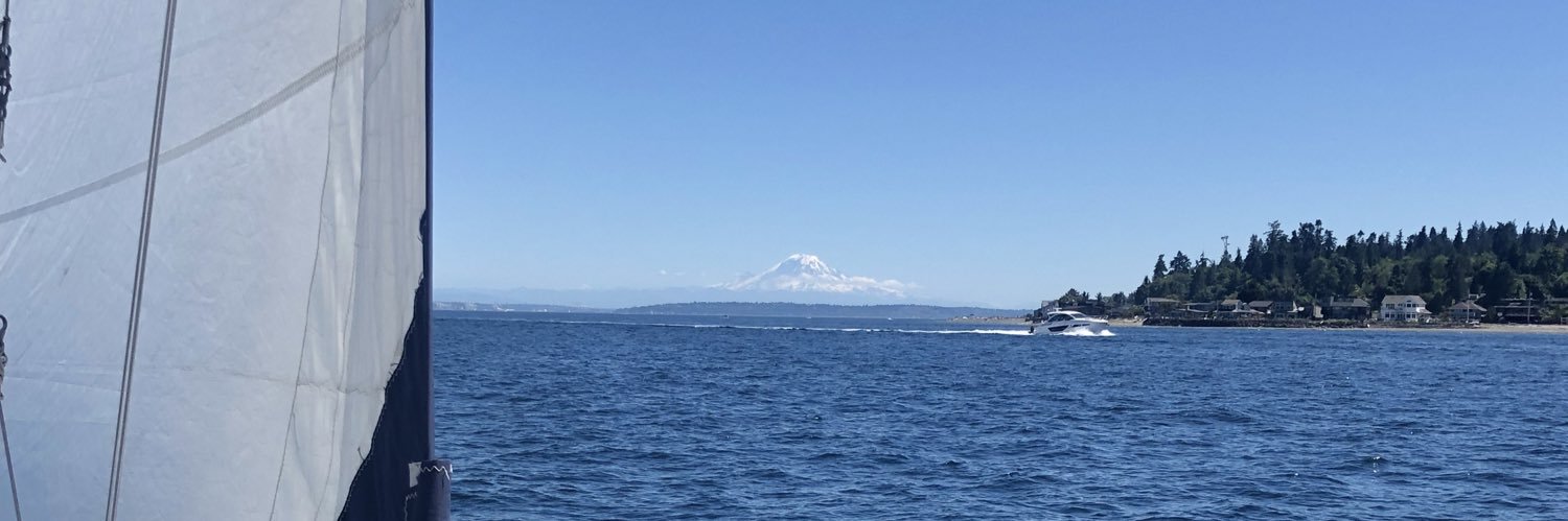 Sara Nikravan, MD, FASE, FCCM banner