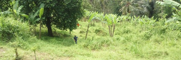 r_mbull Profile Banner