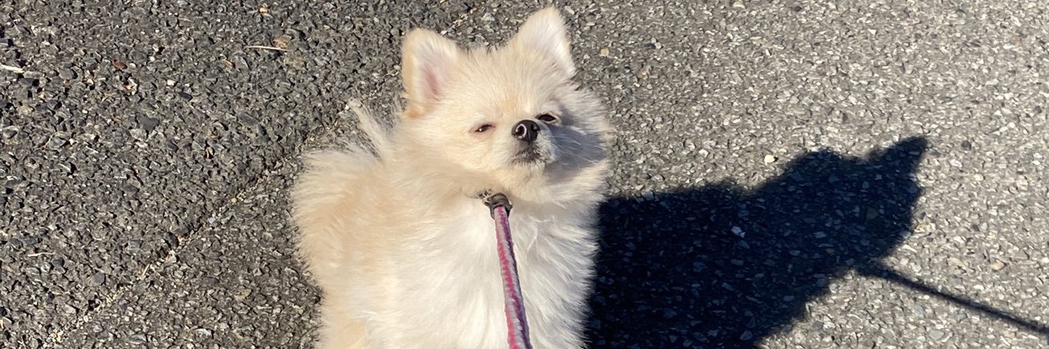 ペロペロぱっ君(あんどぅー) banner