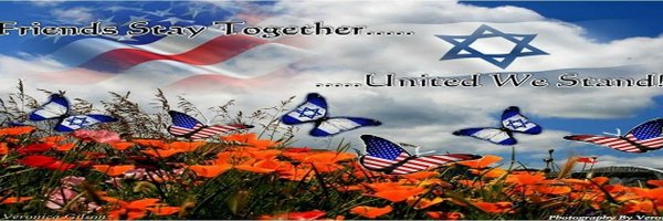 Israel & USA United Profile Banner