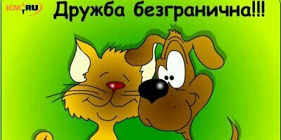 iqnatik's profile banner image