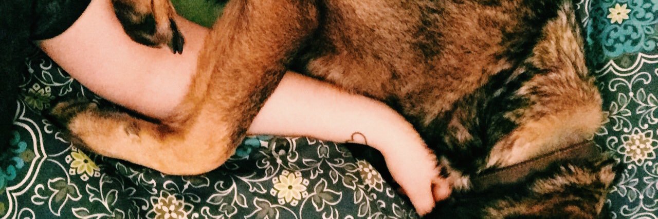AngieMonkei's profile banner image