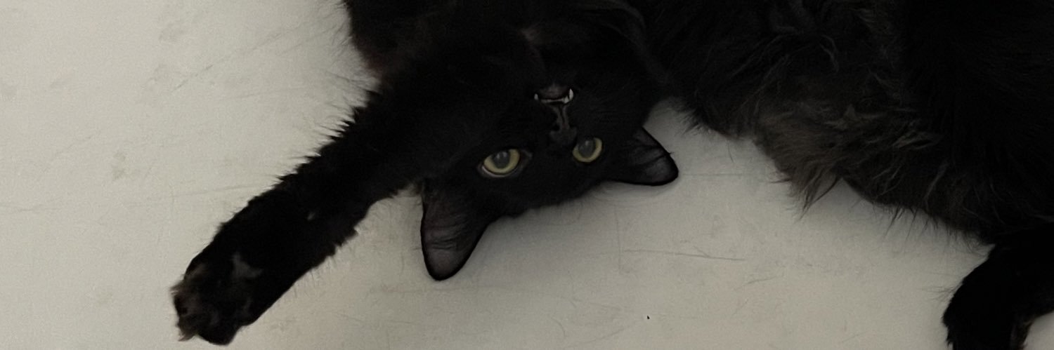 SpragHannah's profile banner image
